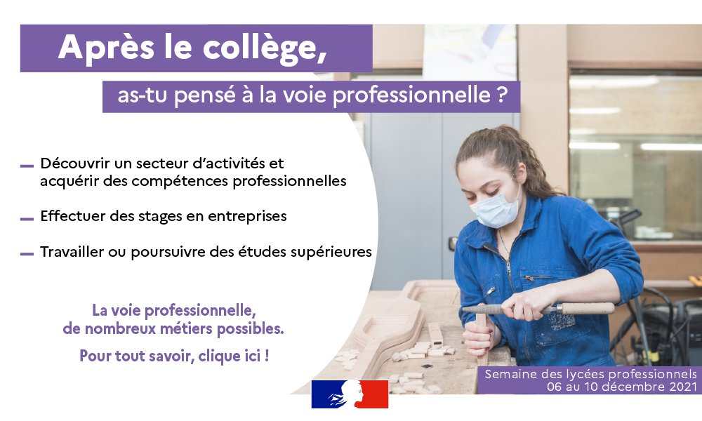 Vignette web voie pro 1000x600.png
